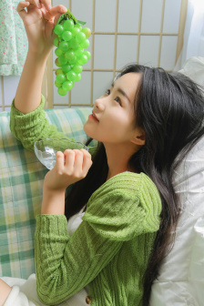 十二寡妇征西